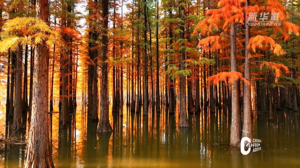 瞰中国｜湖南新宁：香杉湖上行，犹在画中游
