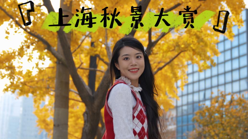 CityWalk丨跟着上海赏秋地图走，享受移步换景的快乐