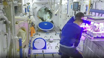 中国空间站动态丨“太空菜园”收菜啦！