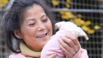 女子自述救助流浪狗20年：卖掉两套房，现在养两百多只