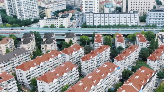 街鎮書記VLOG：邊緣變門戶，上海這個鎮很“涇”彩