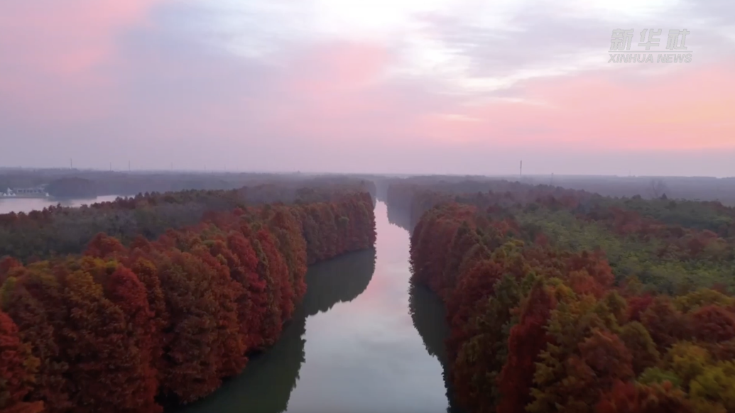 享受大自然的宁静，航拍上海海湾国家森林公园