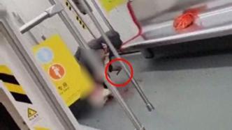 广州地铁回应地铁持刀伤人案：涉案刀具不在管制范围内