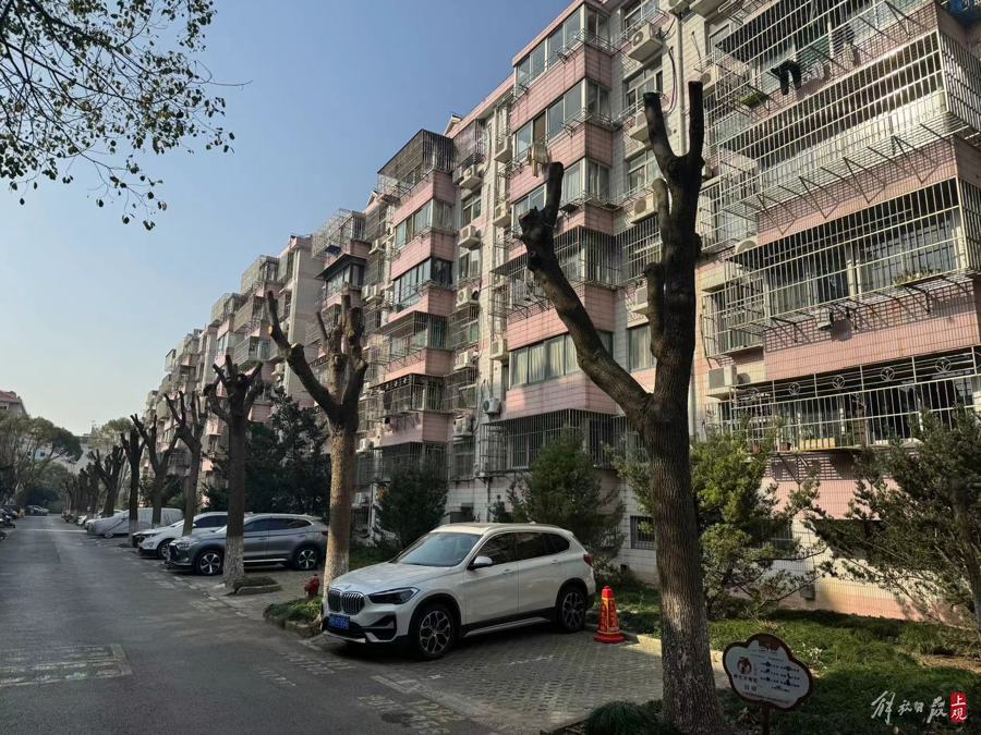 上海浦东一小区上百棵大树成“光头”,居民质疑修绿还是毁林?