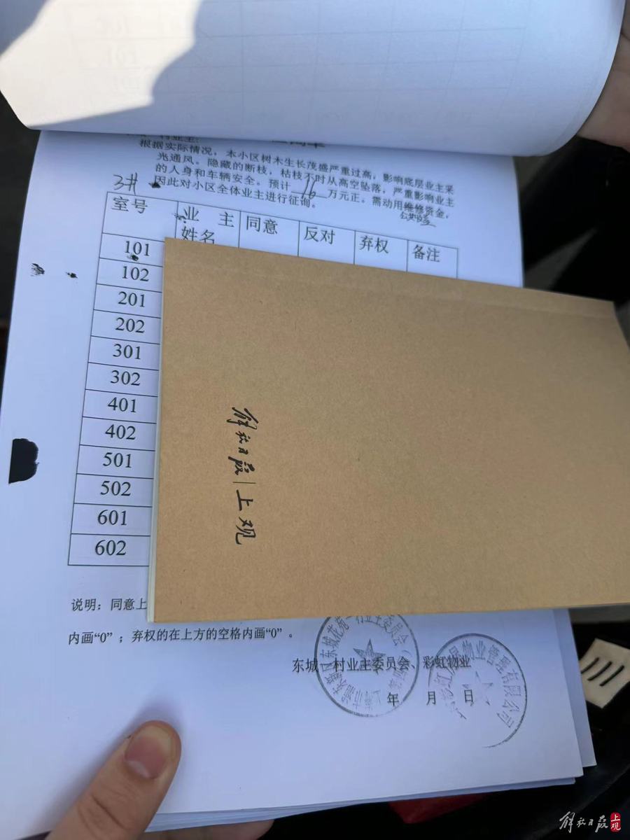 上海浦东一小区上百棵大树成“光头”,居民质疑修绿还是毁林?