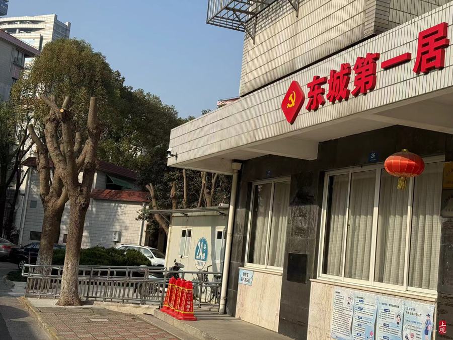 上海浦东一小区上百棵大树成“光头”,居民质疑修绿还是毁林?