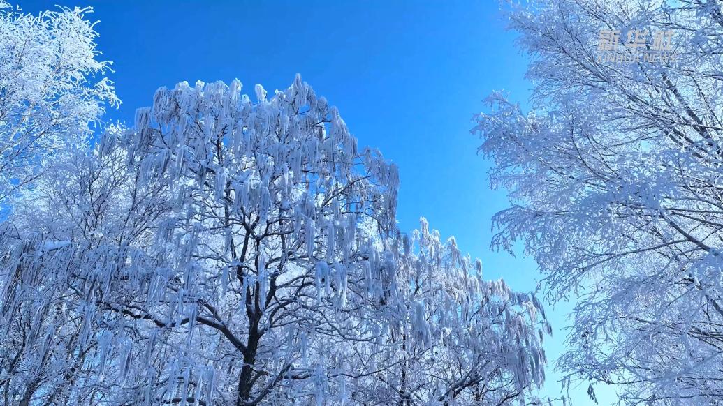 千城胜景丨吉林桦甸：雾凇绽放，冬韵如画