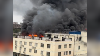 梧州消防通报岑溪紫坭工业园一厂房火灾：已处置，无人员被困