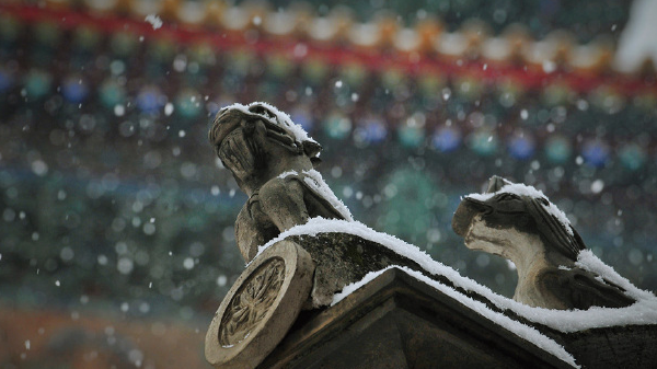 北京雪花已至，大部分地区出现降雪