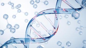 人类基因组计划已完成20年，DNA何时实现“随手测”