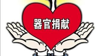 人体器官捐献和移植条例（全文）