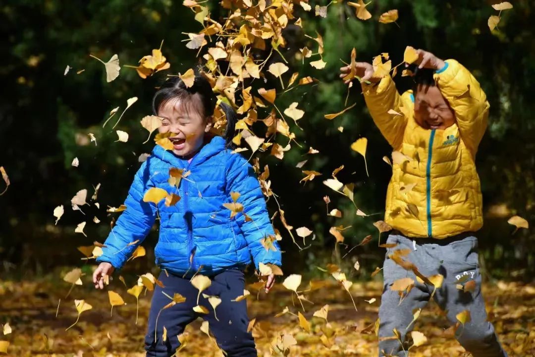 幼儿快乐成长支持策略_徐汇区幼儿园建设质量提升_幼儿园环境创意设计