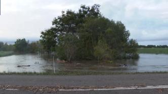 澳大利亚昆士兰州北部多地遭遇洪水，部分居民区惊现鳄鱼