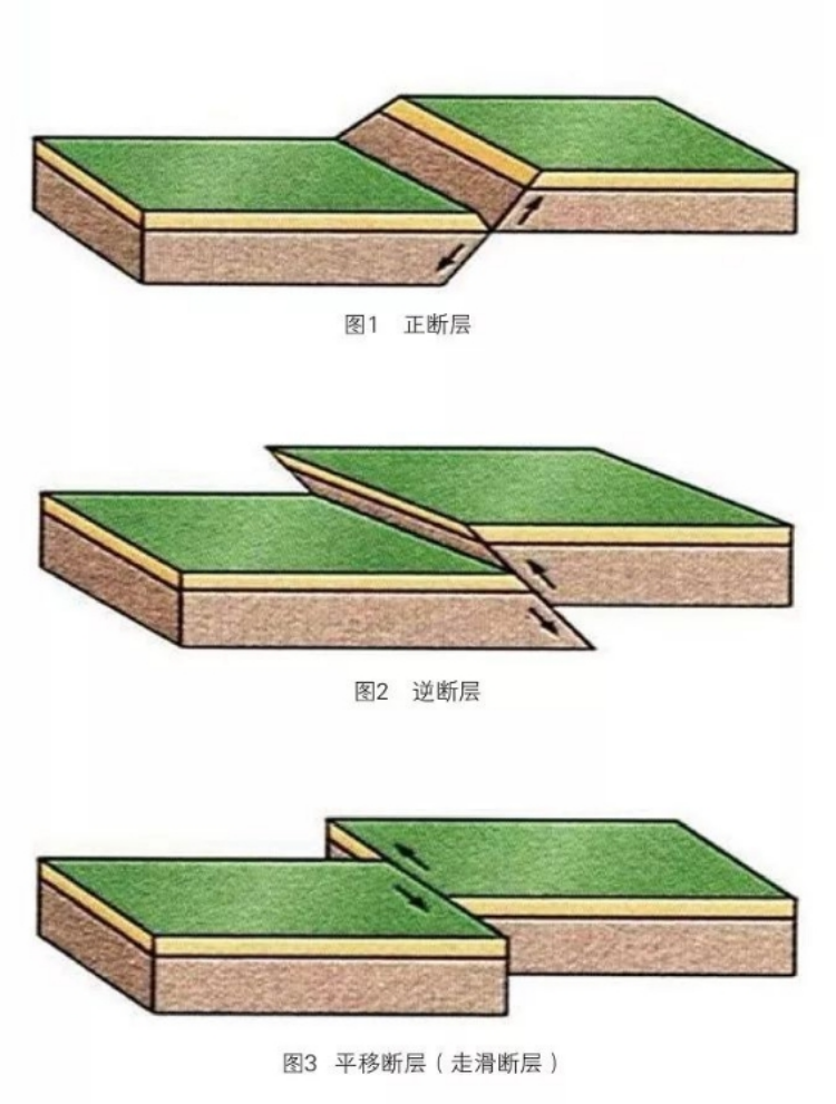 逆冲型破裂地震何解?