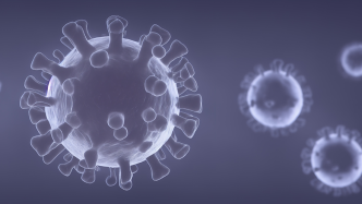 世卫组织将JN.1单独列为“需要留意”的新冠病毒变异株
