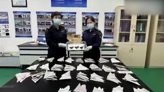 广州海关在进境邮件中查获蓝闪蝶标本290个