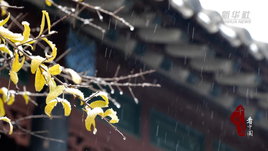千城百县看中国丨山东潍坊：藏在初雪里的浪漫