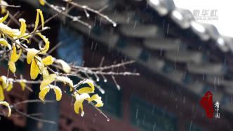 千城百县看中国丨山东潍坊：藏在初雪里的浪漫