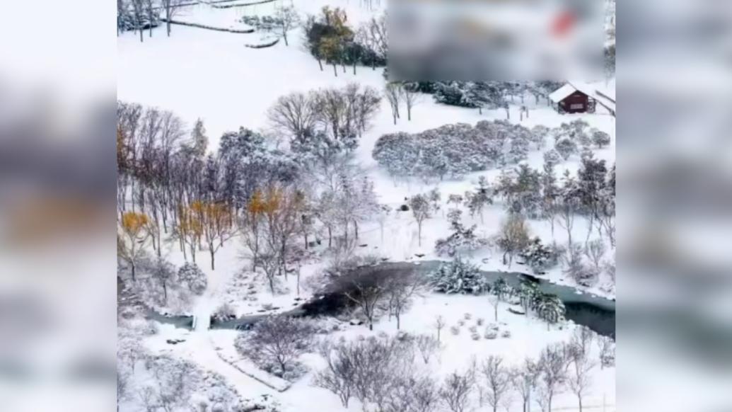 郑州雪景美成一幅水墨丹青画