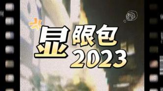 定格2023丨这一年镜头里的“显眼包”们