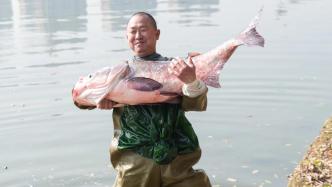 长沙一高校举行捕鱼节，收获2000多斤鱼最大一条64斤