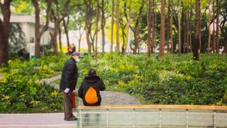 上海黄浦：把城市“边角料”变成海棠花林，让街区可阅读可休憩