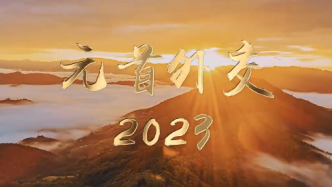 元首外交2023