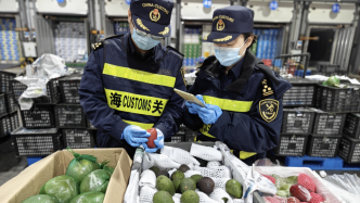 上海外港海关查获并销毁约7.8吨未申报水果