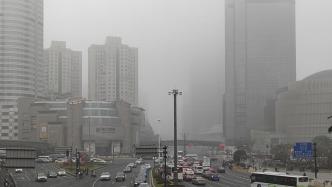 直击｜全国多地现浓雾天气，中央气象台发布大雾黄色预警
