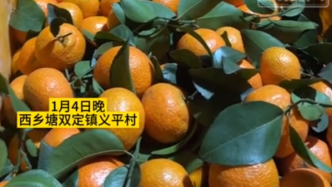 一场“砂糖橘”的双向奔赴：南宁赠送哈尔滨200吨砂糖橘