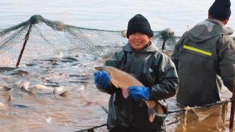 新疆温宿冬捕忙，渔民破冰捞鱼