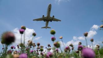 民航局：春运期间新增国际定期航班和加班包机超2500班