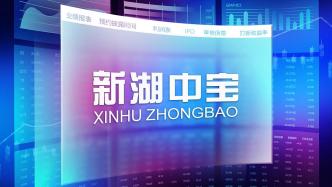 新湖中宝：控股股东30亿元转让公司18.43%股份，衢州工业系成第一大股东