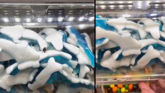 蟑螂爬进糖果展示柜，超市：已进行处理