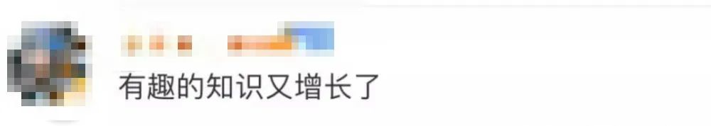 明年起连续5年没有年三十,年三十为啥时有时无?_中国政库_澎湃新闻The Paper