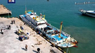 台湾地区石斑鱼恢复输入，首批近24吨运抵福建东山港