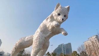 去看“苏河湾妲己”，上海街头惊现7层楼高的巨型白狐