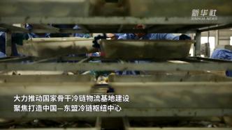 广西防城港冷链产业发展按下“加速键”