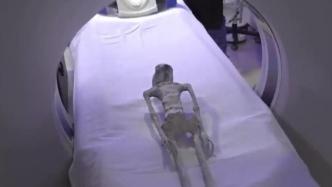 动物骨头做的玩偶！秘鲁法医揭穿“外星人”骗局