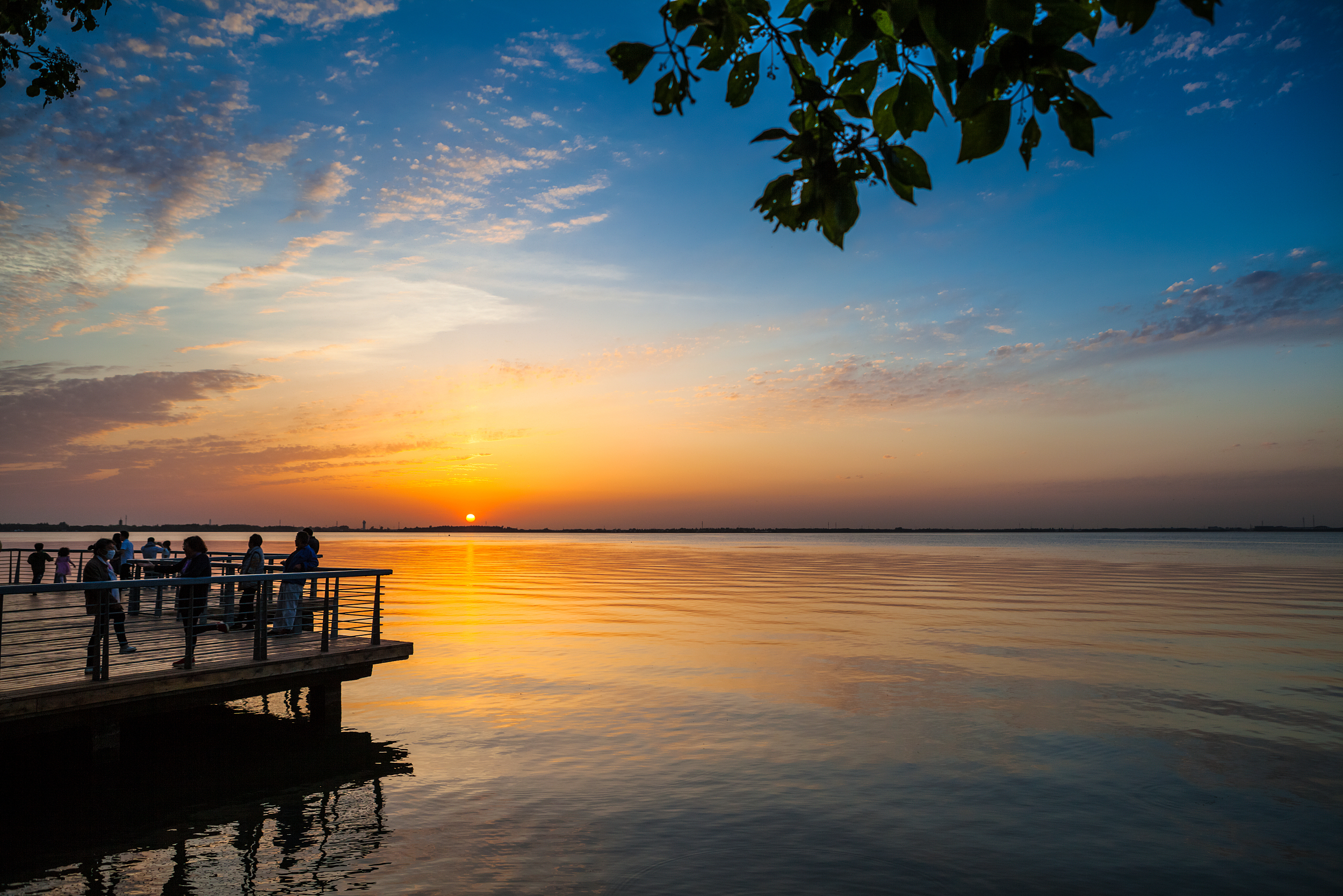浦江头条_澎湃新闻-the paper