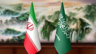 沙特外交大臣会见伊朗外交部长