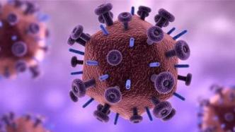 追问｜HIV“隐藏”太深，CAR-T更能有效抑制病毒复制？