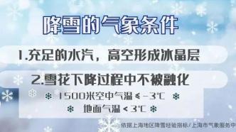 上海这次真的能看雪？网友投票：四成认为难，四成选“佛系”