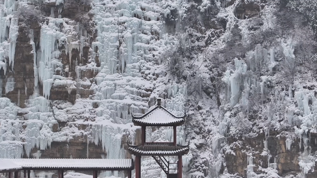 雪后黄花溪银装素裹,树枝上挂满冰挂