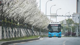 長三角兩會丨浙江省人大代表建議：殘疾人免費乘坐公交全省通行