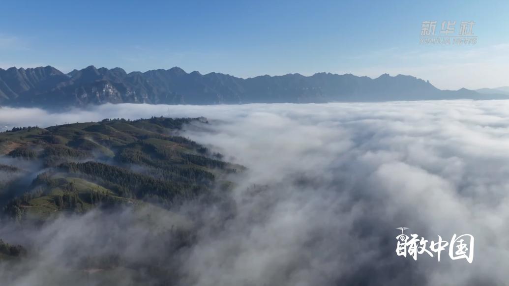 湖北鹤峰：云雾绕茶山，美景入画来