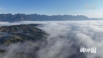 湖北鹤峰：云雾绕茶山，美景入画来