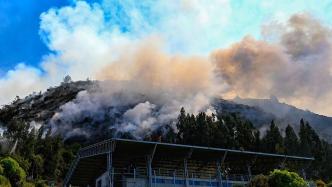 厄尔尼诺现象引发森林火灾，哥伦比亚宣布进入自然灾害状态