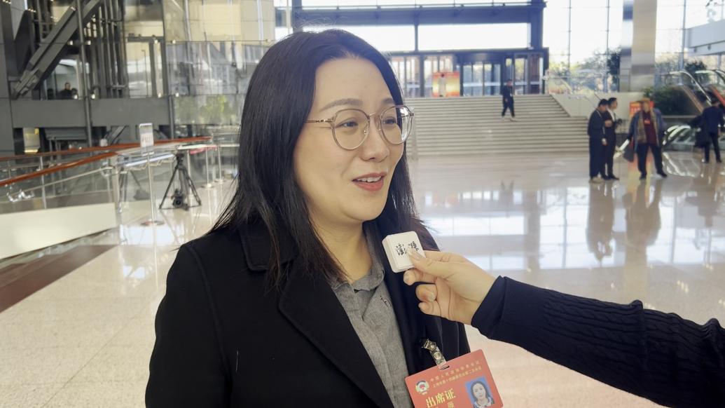 兩會(huì)之聲|代表委員熱議政府工作報(bào)告:感受到滿滿的使命感