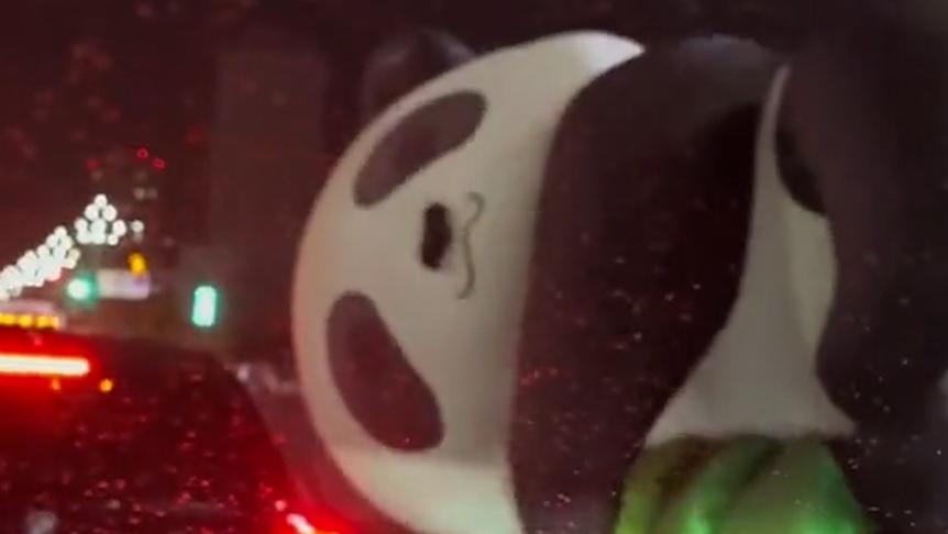 巨型充气熊猫滚上马路连碰数车，商场回应“已送回老家维修”